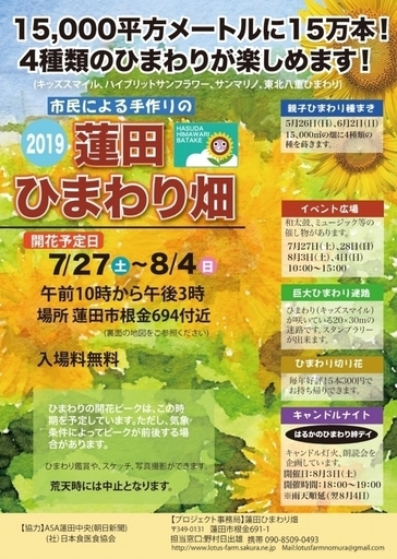蓮田ひまわり畑19 7月27日 8月4日開催 おたすけネット 蓮田の地域 お祭りのイベント参加者募集 無料掲載の掲示板 ジモティー