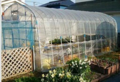 ビニールハウス 3坪 ビニールなし 現状渡し