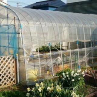 ルイヴィトン スピーディ30-ビニールハウス(取引中)