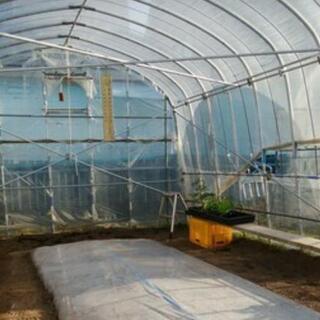 ルイヴィトン スピーディ30-ビニールハウス(取引中)