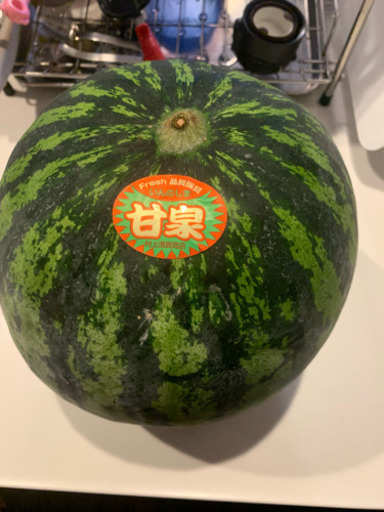 すいか スイカ 西瓜 1玉