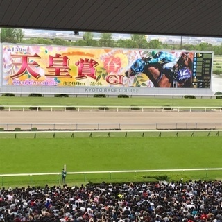 競馬仲間募集