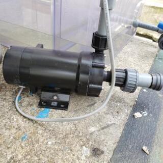 アクリルオーバーフロー水槽値下げします