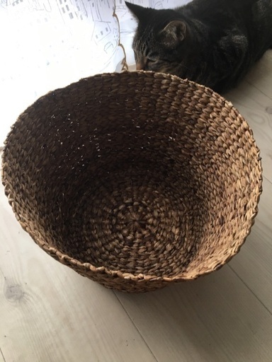 無印良品 籐カゴ ブリキ缶収納 Hiyo 宝塚のその他の中古あげます 譲ります ジモティーで不用品の処分 無印良品 籐カゴ ブリキ缶収納 Hiyo 宝塚のその他の中古あげます 譲ります ジモティーで不用品の処分