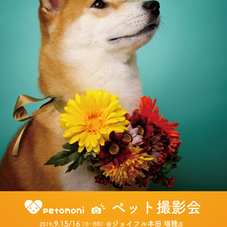 ジョイフル本田 イベント情報 ジモティー