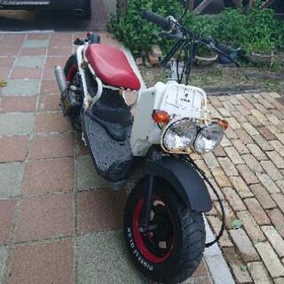 ホンダ ズーマー 50cc カスタム 山形県から
