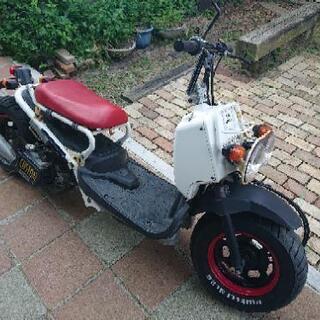 ホンダ ズーマー 50cc カスタム 山形県から