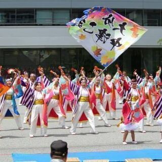 よさこい 中津こまち ❇新メンバー募集❇