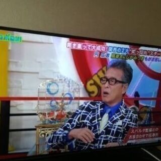 テレビ49型 グリーンハウス