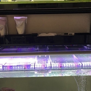 120×60×60㎝アクリル水槽&レイシーポンプ用上部濾過層、7/6に届いたばかりなのでほぼ新品です。 120×60×60㎝アクリル水槽&レイシーポンプ用上部濾過層、7/