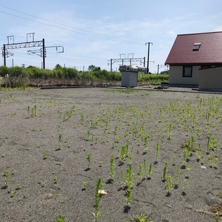 大幅値下げしました。白老　竹浦駅近く海近く 93坪 住宅又は別荘でも　