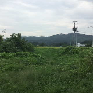 栃木県鹿沼市太陽光発電所@18円108kwオーナー様募集