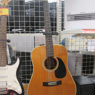 JAGARD　アコースティックギター　JD-200　ケース付き