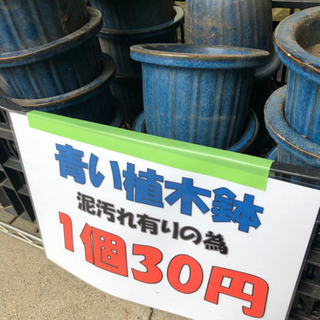青い植木鉢 高さ約14cm 激安価格1個30円 在庫なくなり次第...