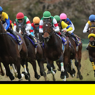 【🐎】園田競馬場の施設内警備の画像