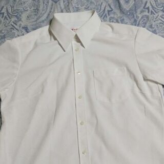 形態安定シャツ◆半袖13号◆KANKO ◆未使用（洗濯のみ）