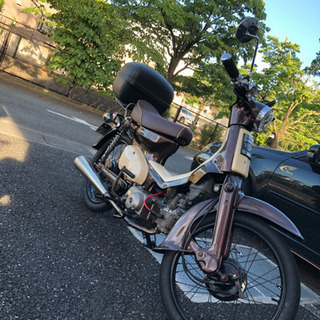 C50 カブ