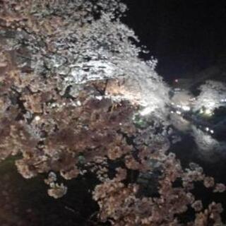 🌐便利屋系 🌐解決屋-Bee まずはお電話を。