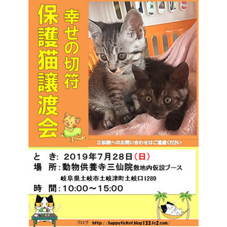 幸せの切符猫の譲渡会