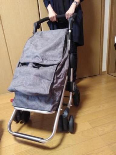 【値下げ】新品同様 ショッピングカート 押し引き両用