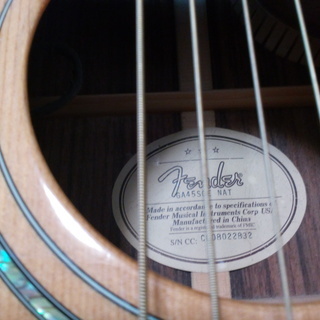 値引き！【YUI】使用モデル Fender GA-45SCE エレアコ