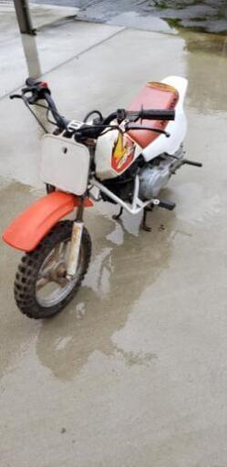 ホンダQR50