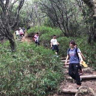 山コンハイキング