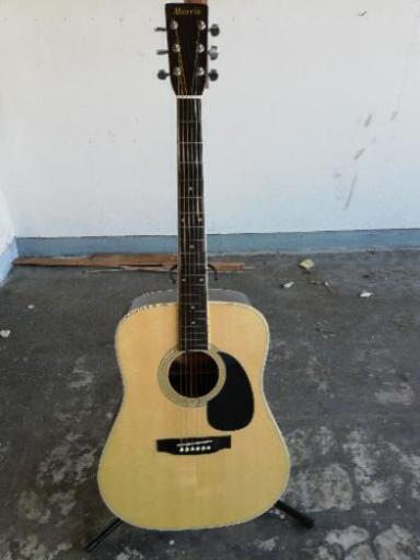 Morris 中古アコースティックギター W-20