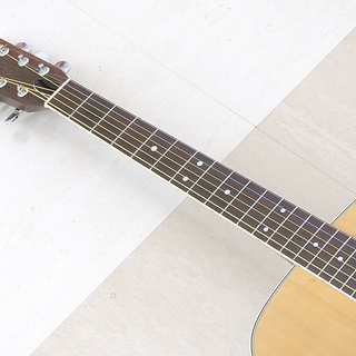 Humming Bird ショップ Custom ハミングバードカスタム 東海楽器