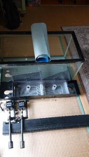 お話中です 水槽 900 NISSO ニッソー