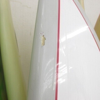 SANTA CRUS サンタクルズ CHRISTIAN FLETCHER MODEL サーフボード SP1581