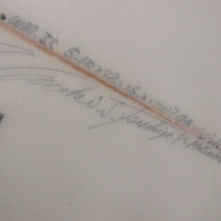 WAVEMASTERS SURF BOARDS サーフボード フィン付き SP1582