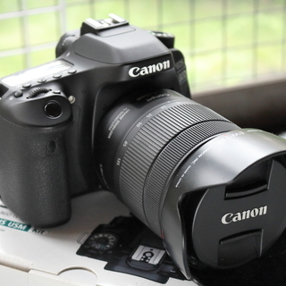 Canon EOS80D ズームレンズセット