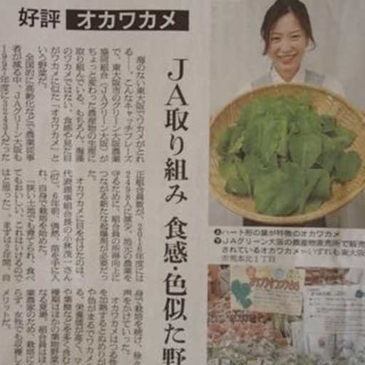 郵送 スーパー野菜 ツルムラサキ科 オカワカメのムカゴ 別名 雲南百薬 雲龍菜 アカザカズラ ぬるっぱ Minakin 堺の家庭用品 ガーデニング の中古あげます 譲ります ジモティーで不用品の処分 郵送 スーパー野菜 ツルムラサキ科 オカワカメのムカゴ 別名 雲南百薬 雲龍菜 アカザカズラ ぬるっぱ Minakin 堺の家庭用品 ガーデニング の中古あげます 譲ります ジモティーで不用品の処分