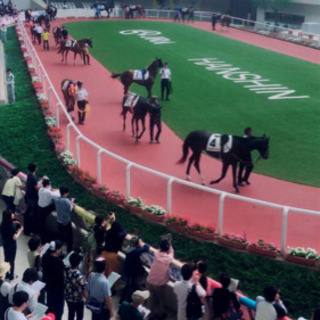 【競馬】※業界流出ソフトの毎週土日無料体験会！