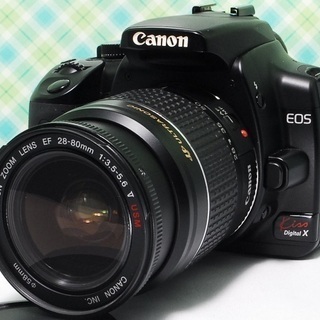 OLYMPAS・E-PL5＋Carl・Zeiss 35~135 Vario・Sennarはいかが？