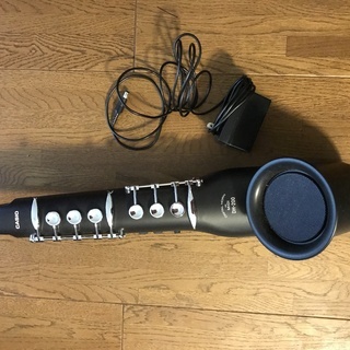 Casio製デジタルホーンDM-200 プラスチック製管楽器 完...