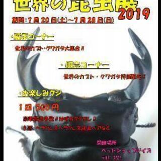 世界の昆虫展　2019