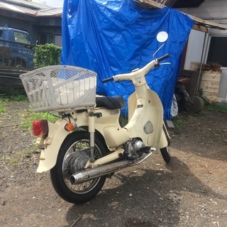 人気キャブ!リトルカブ スーパーカブ?AA01 c50?原付 MT