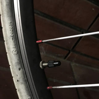 ルイガノ クロスバイク 自転車 ミント色 