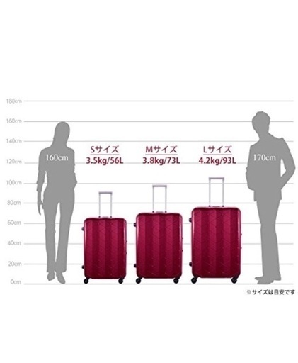 サンコー スーツケース Mサイズ MGC1-69