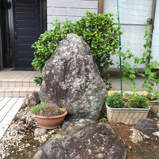 実家の庭石