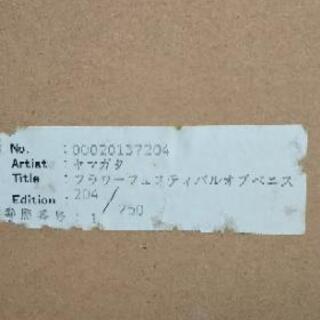 ヒロ・ヤマガタ  フラワーフェスティバルオブベニス