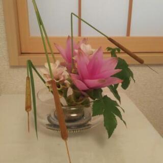 いけばな講師になりませんか?(*^ー^)ノ♪🌼
