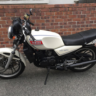 商談中！RZ250 4L3 純正車両 旧車 綺麗です