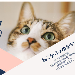 東京都の猫カフェ イベント情報 ジモティー 東京都の猫カフェ イベント情報 ジモティー