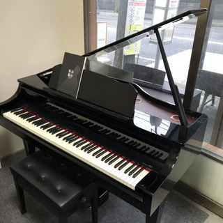 ローランド RG3F 