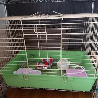 うさぎ、モルモットなどの飼育ゲージ