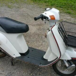 スズキ すぐ乗れますスズキジェンマ50cc