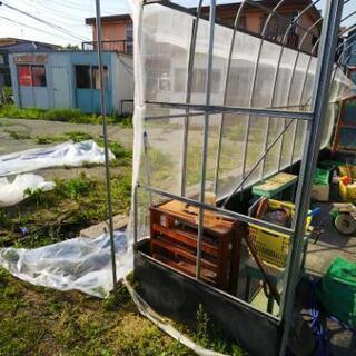 最終値下げ❗️ビニールハウス5000×3000